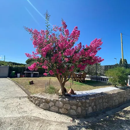 Bucine San Giovanni (Isola d'Elba)